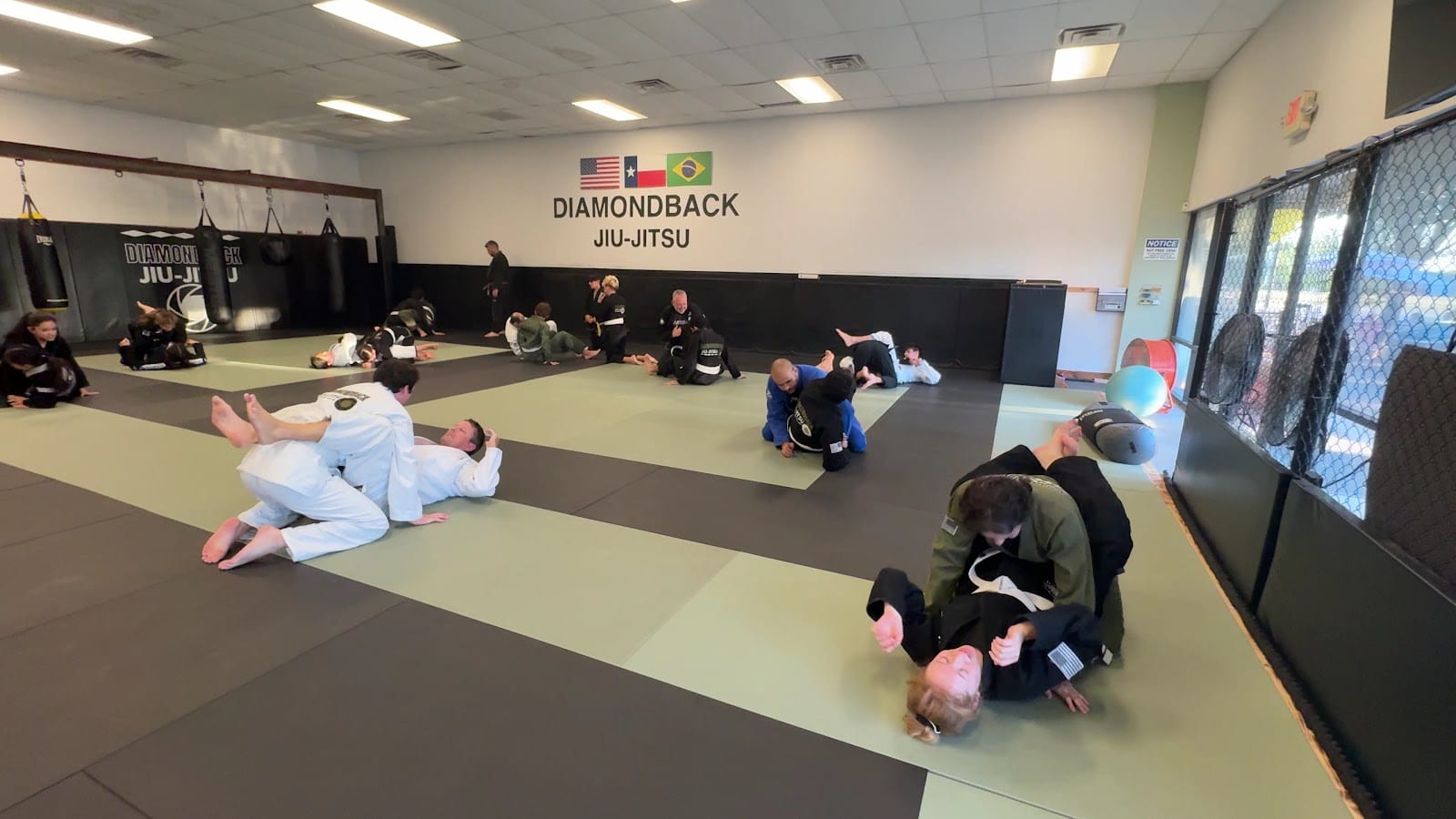 Diamondback Jiu-Jitsu, photo 3