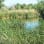 Sweetwater Wetlands Park
