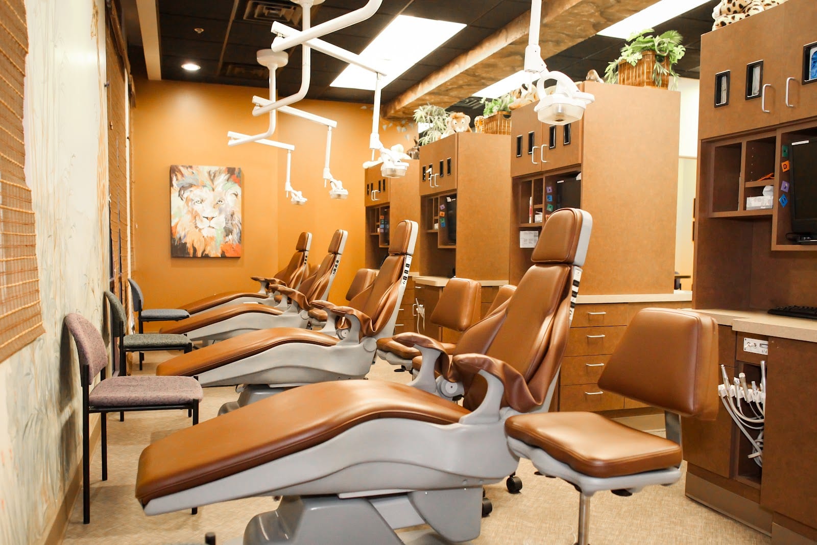 Affiliated Pediatric Dentistry & Orthodontics: Grayhawk