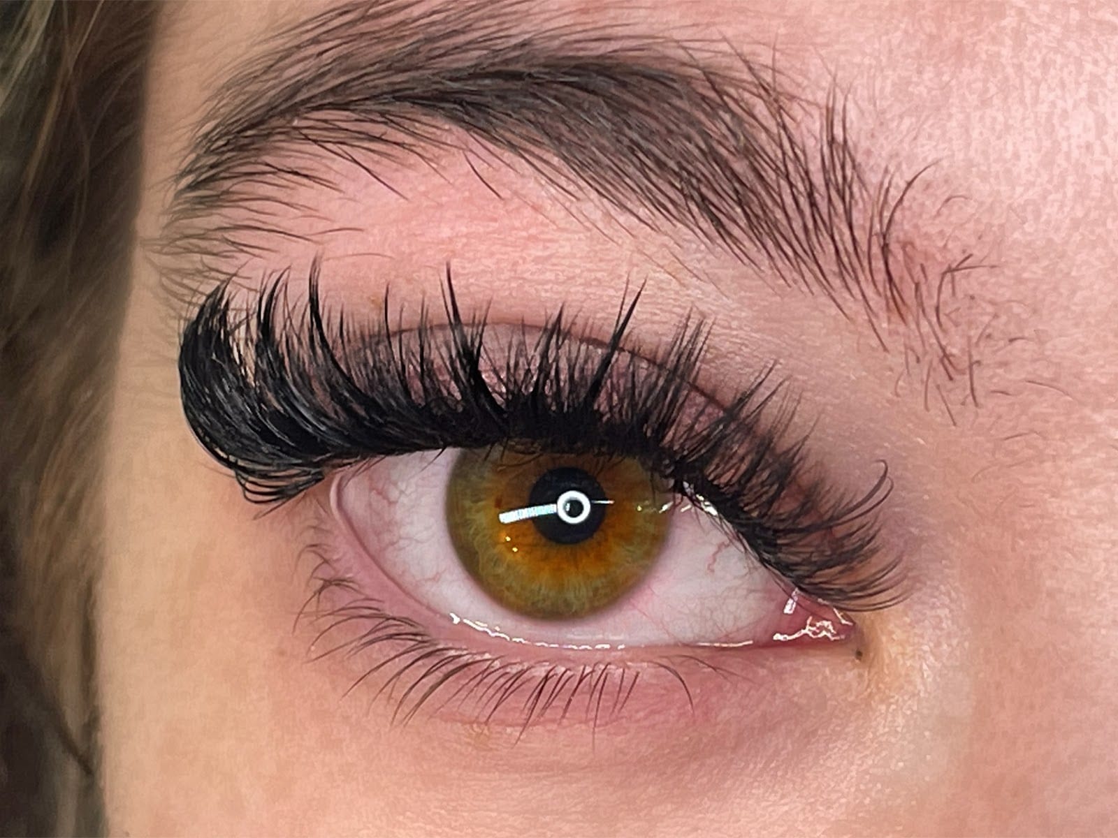 The Lash Snob