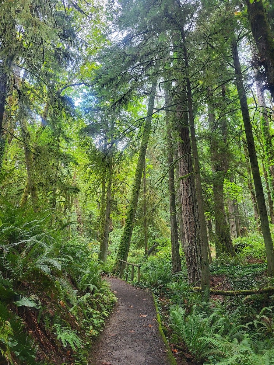 Squaxin Park (Priest Point)