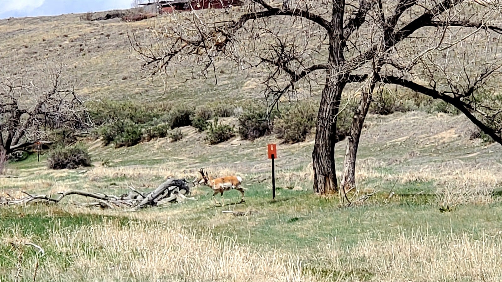 Casper Disc Golf Course Entrance, photo 2