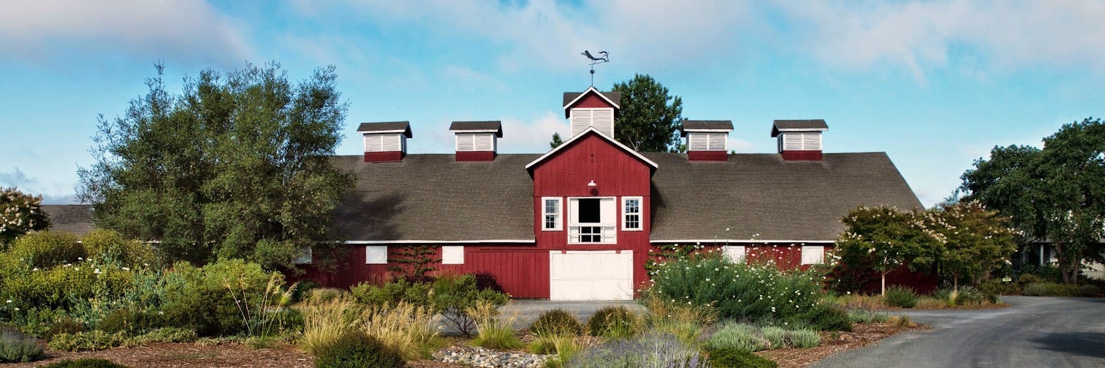 Frog's Leap Winery, photo 2