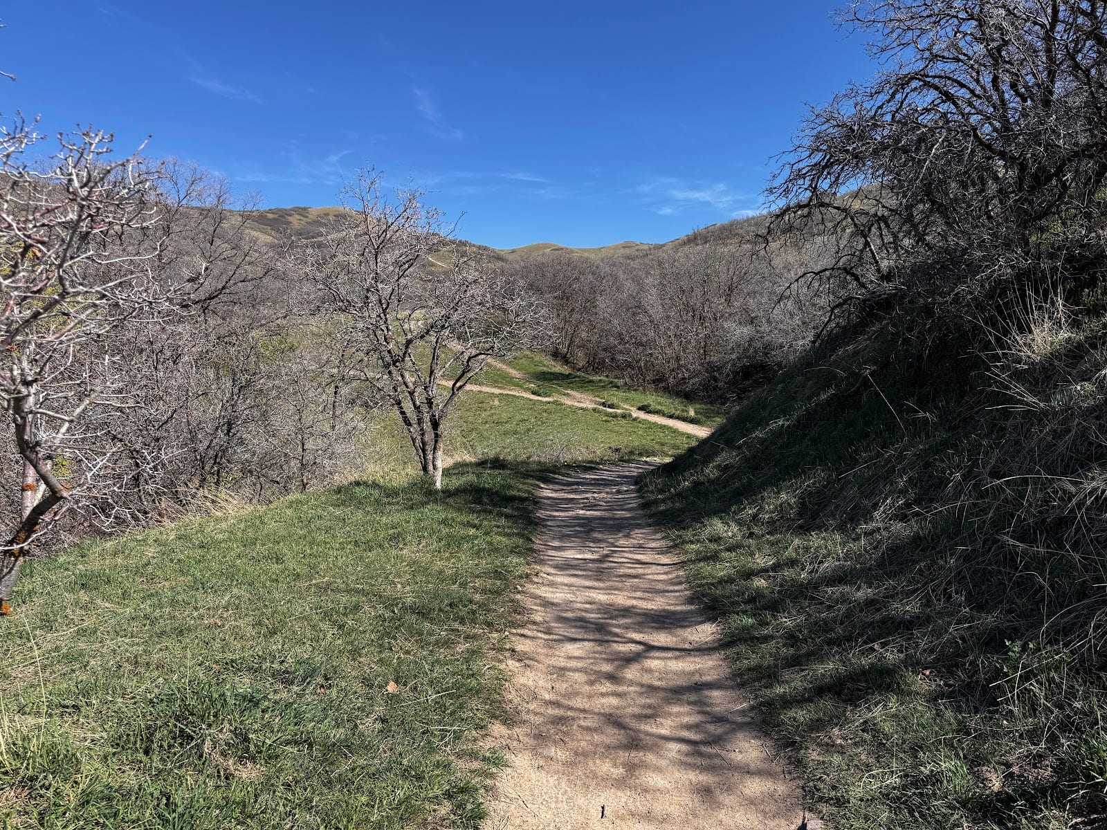 Valley View and Twin Peaks Trails Loop