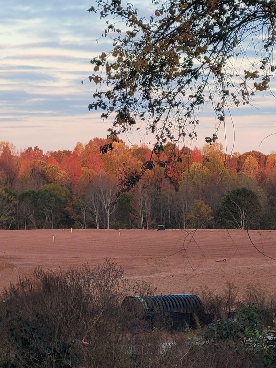 Ducworth/Tucker Sports Park, photo 4