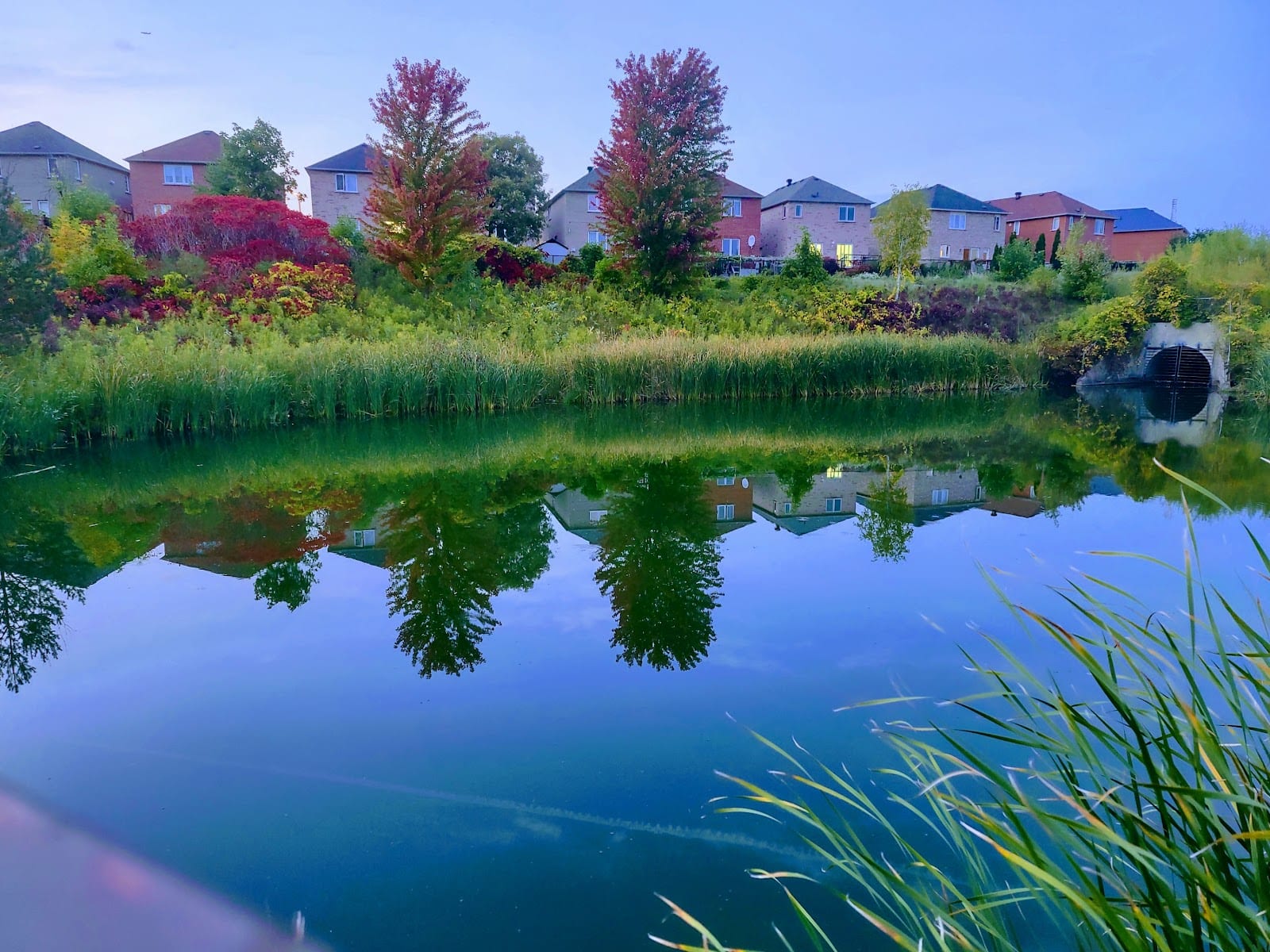 Lawrence Heights Park, photo 3