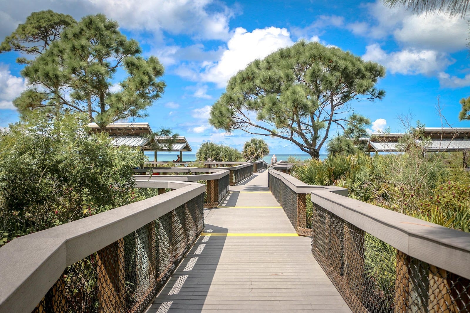 Palmera Wellen Park - Executive Series - David Weekley Homes, photo 3