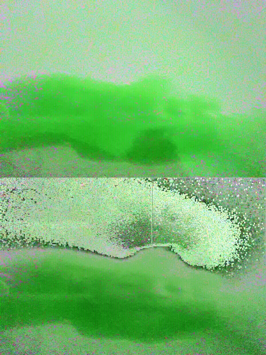 Sunbelt Car Wash Services, photo 3