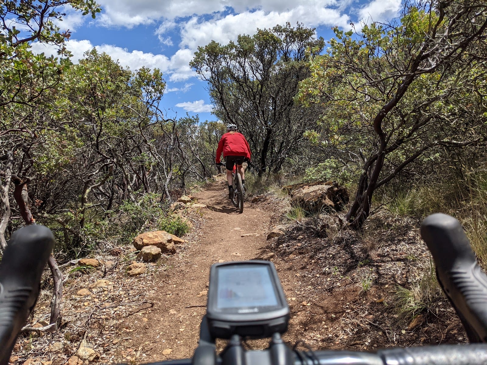 Las Posadas State Forest, photo 3