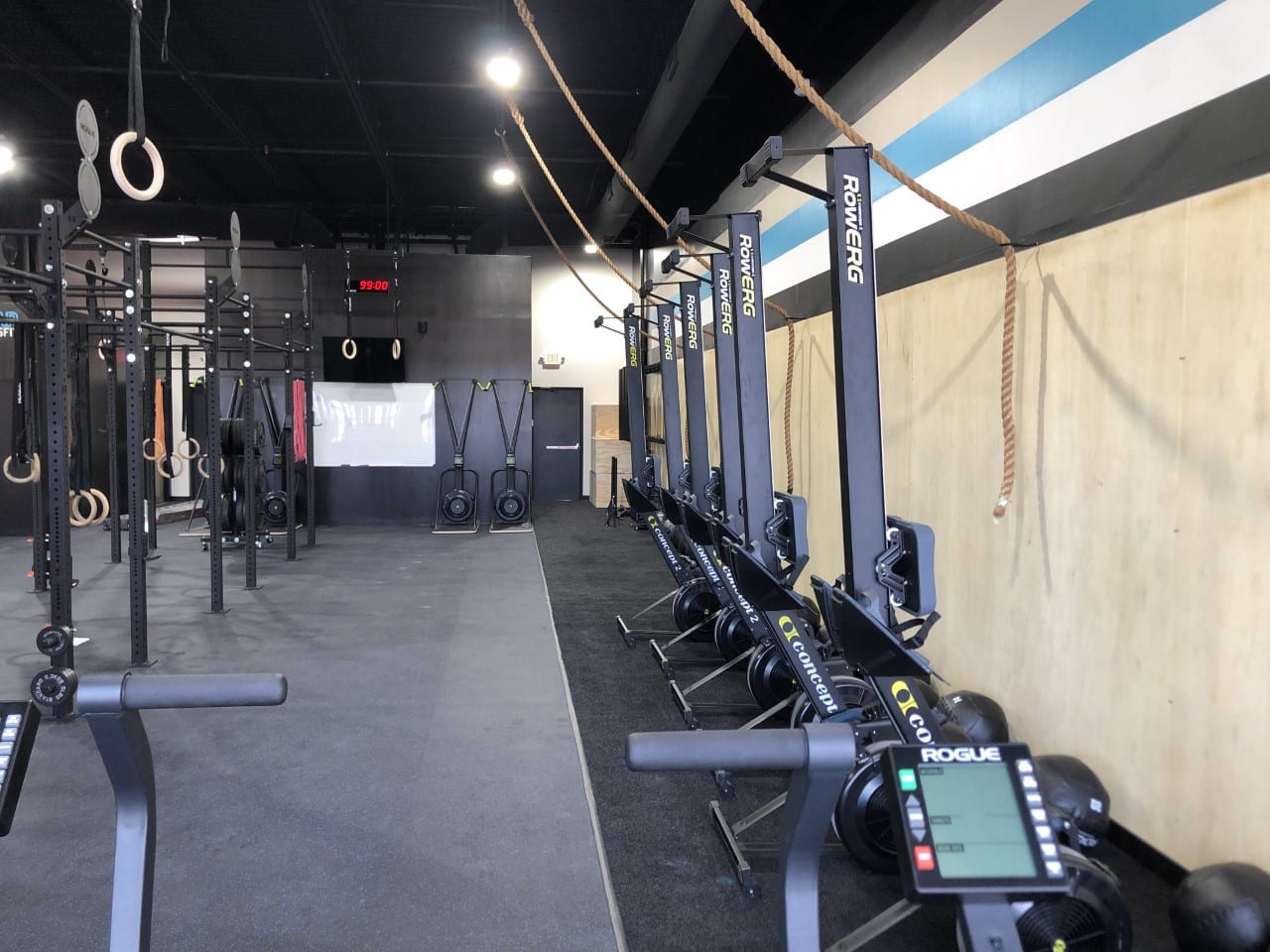 Water Bear Crossfit, photo 2