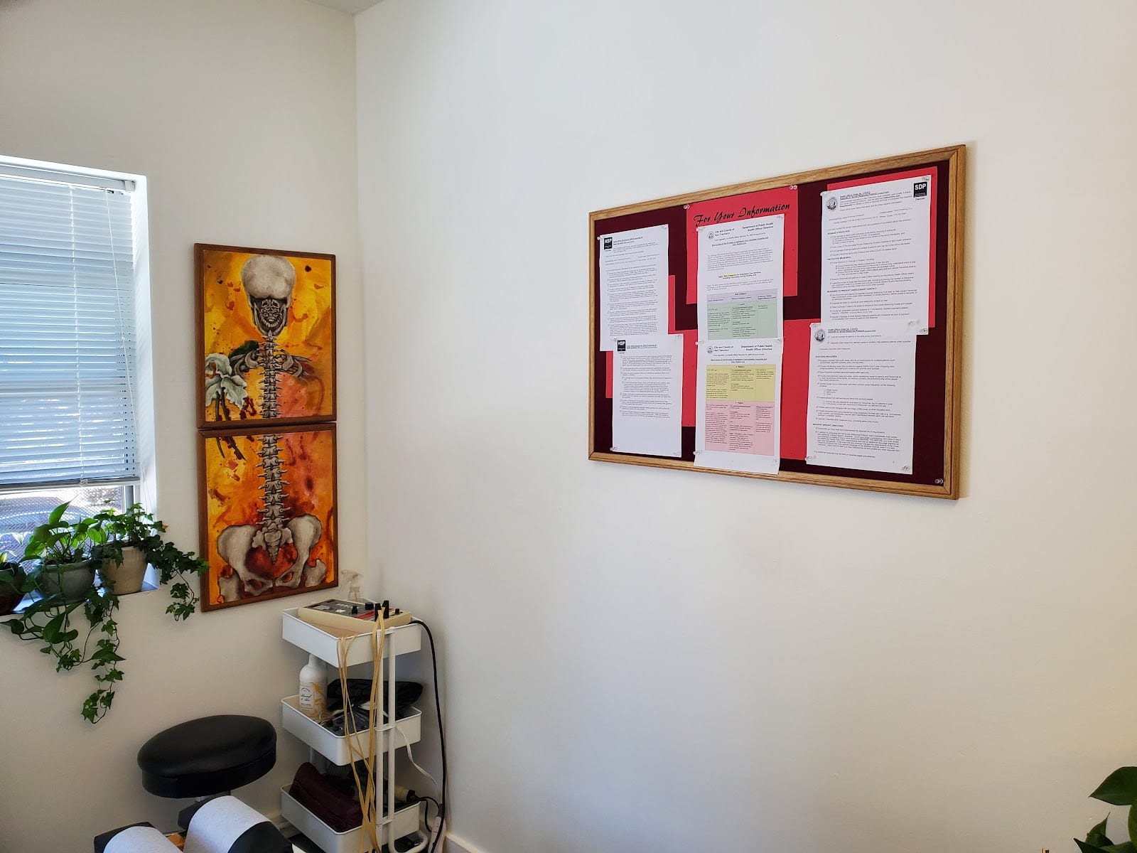 Armstrong Chiropractic, photo 4