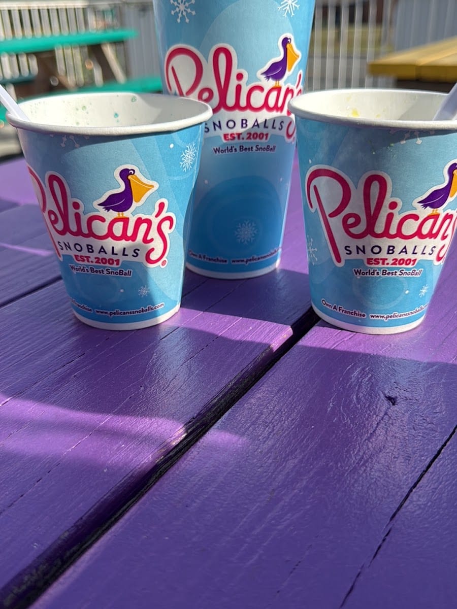 Pelicans SnoBalls Rome, photo 4