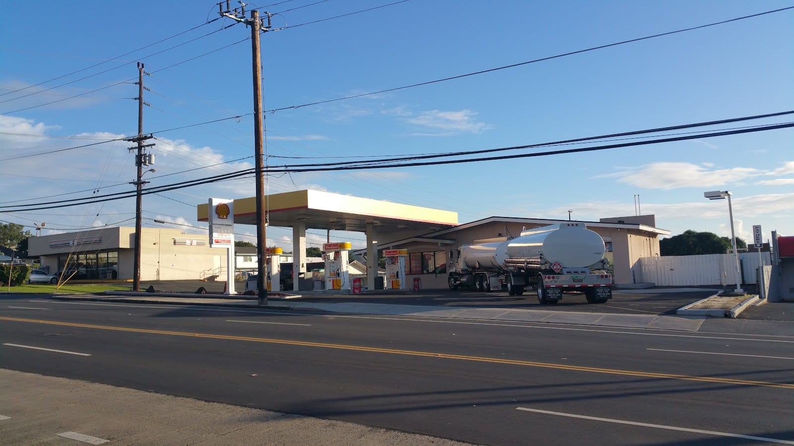 Shell, photo 4