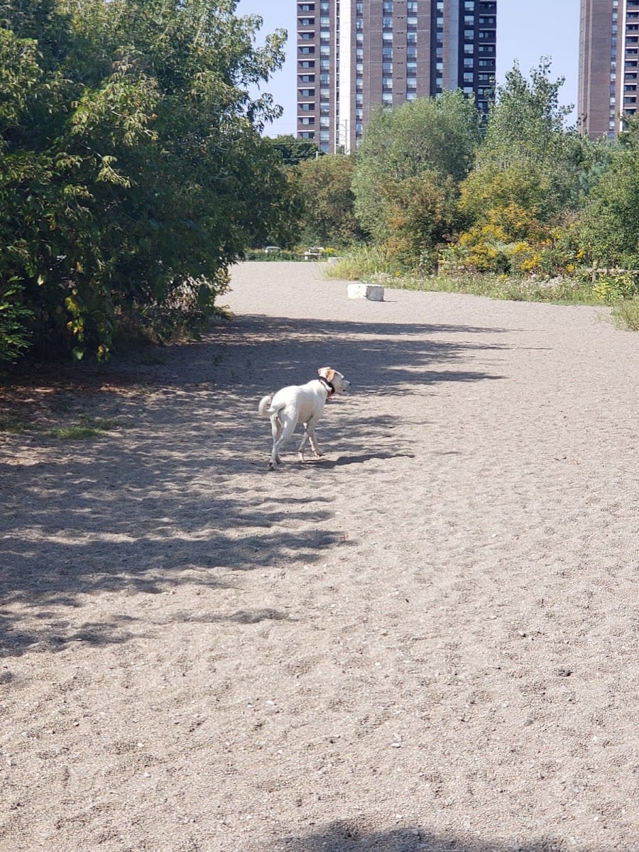 Marie Curtis Dog Park