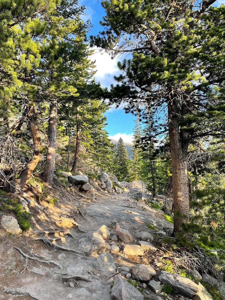 Casago Estes Park, photo 2