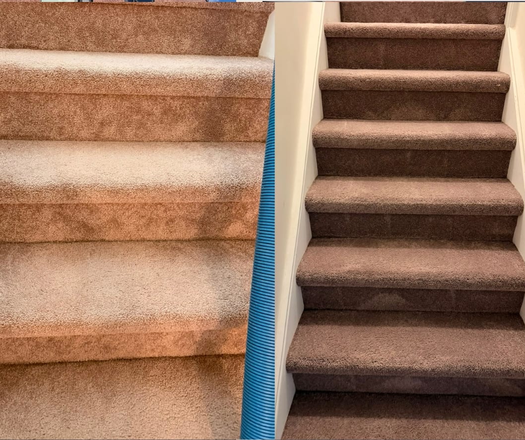 iCleanse Carpet and Upholstery Cleaning, photo 2
