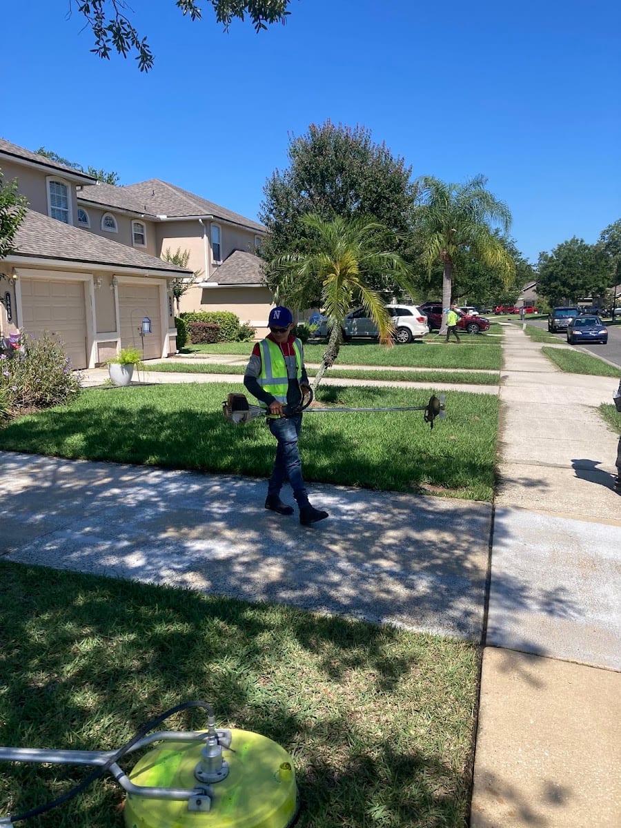 Tree Amigos Outdoor Services
