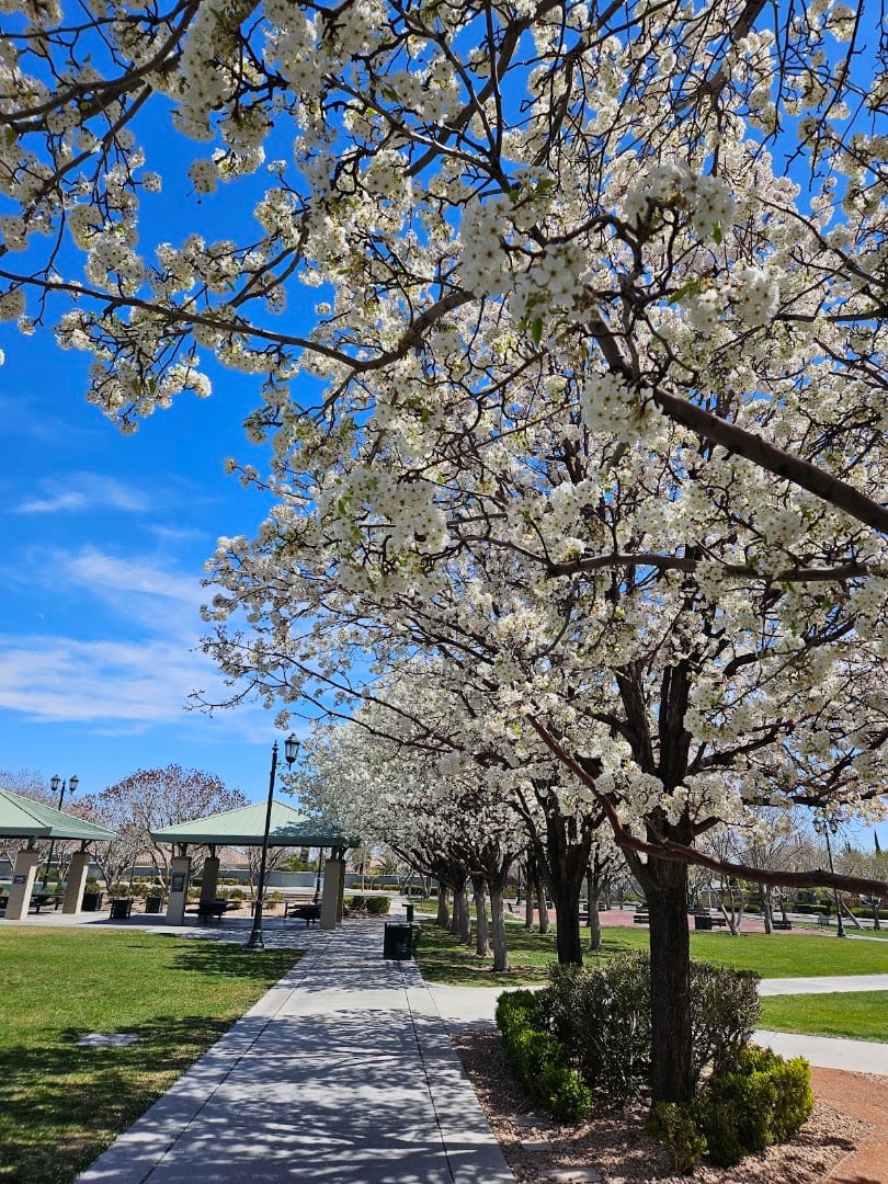 Gardens Park, photo 4