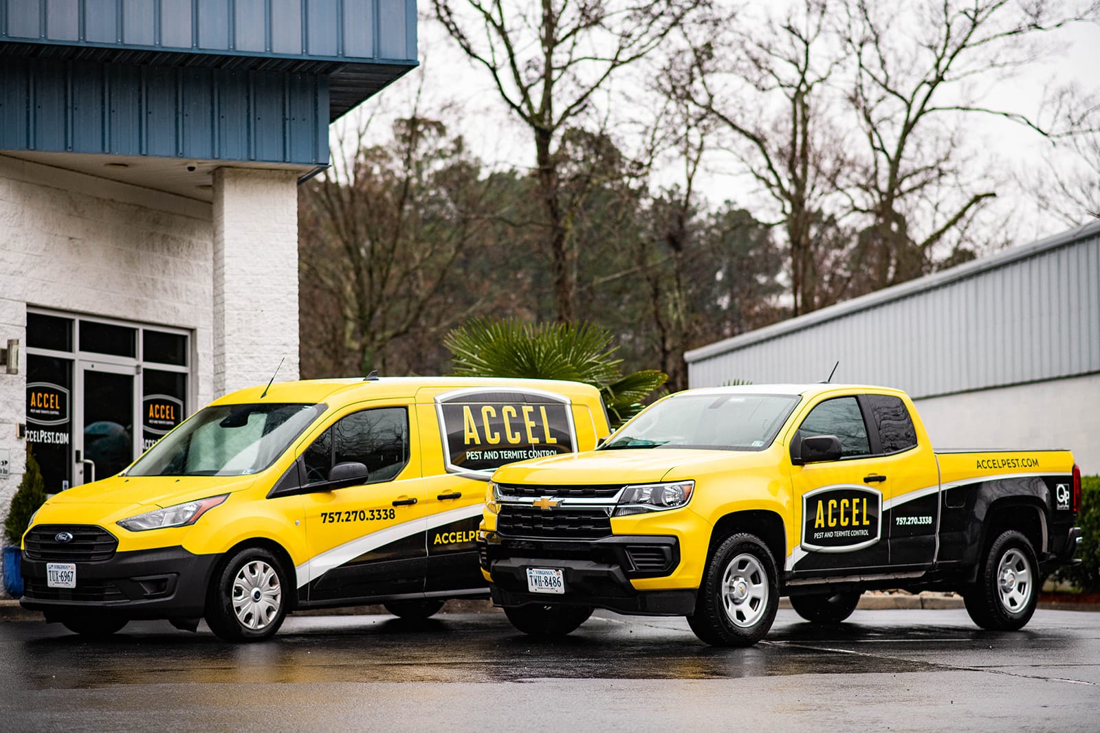 Accel Pest & Termite Control, photo 4