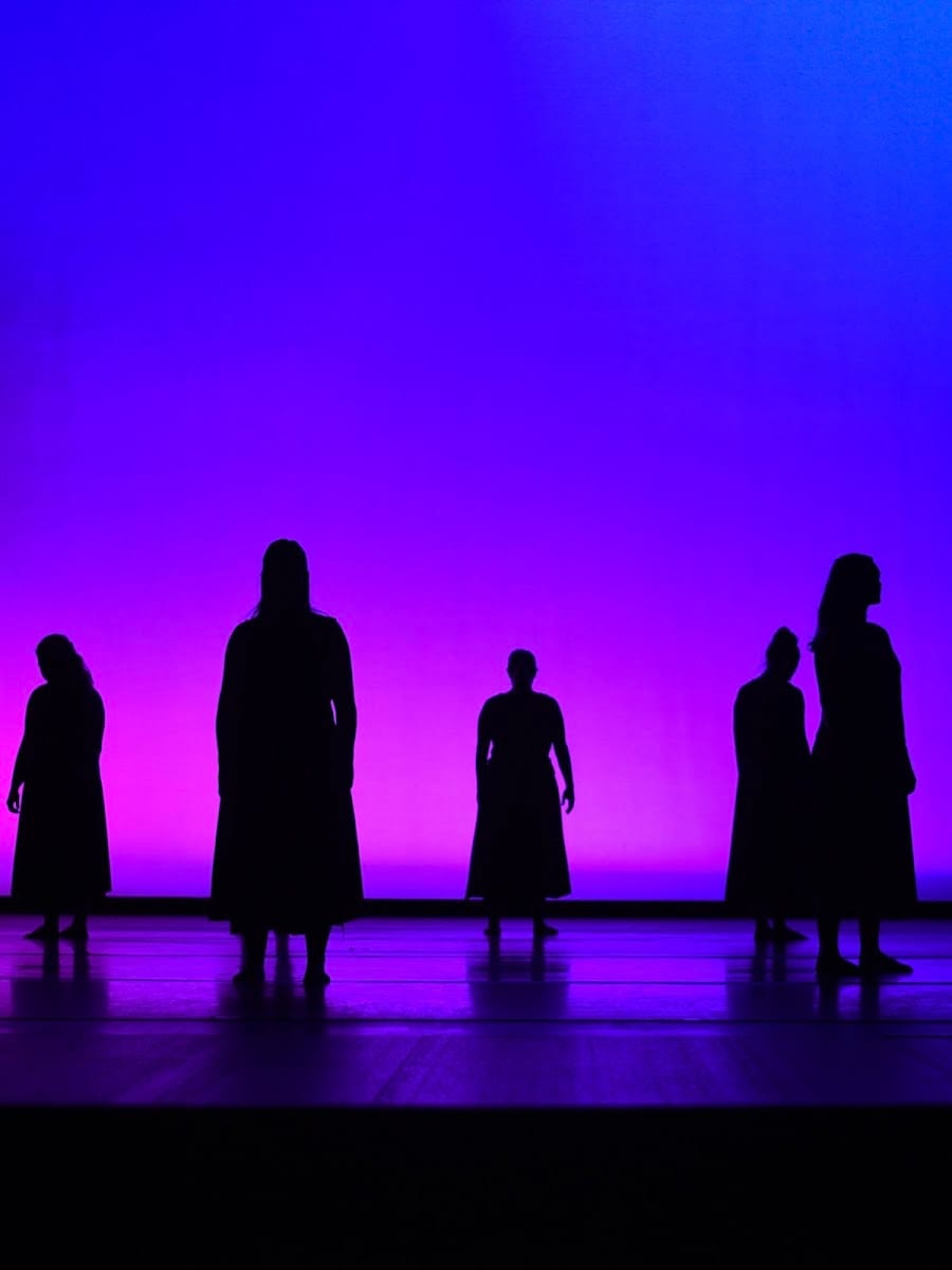 Valley Dance Ensemble, photo 3