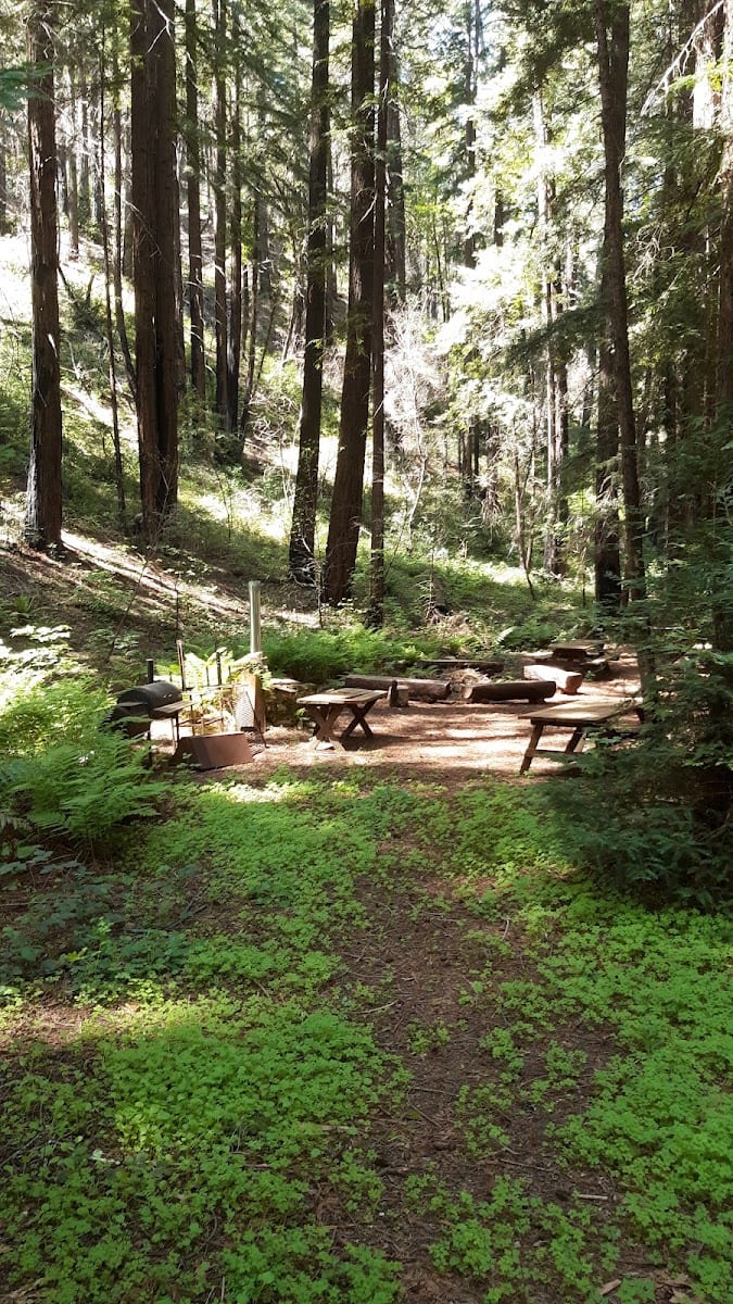 Archer Taylor Preserve, photo 3