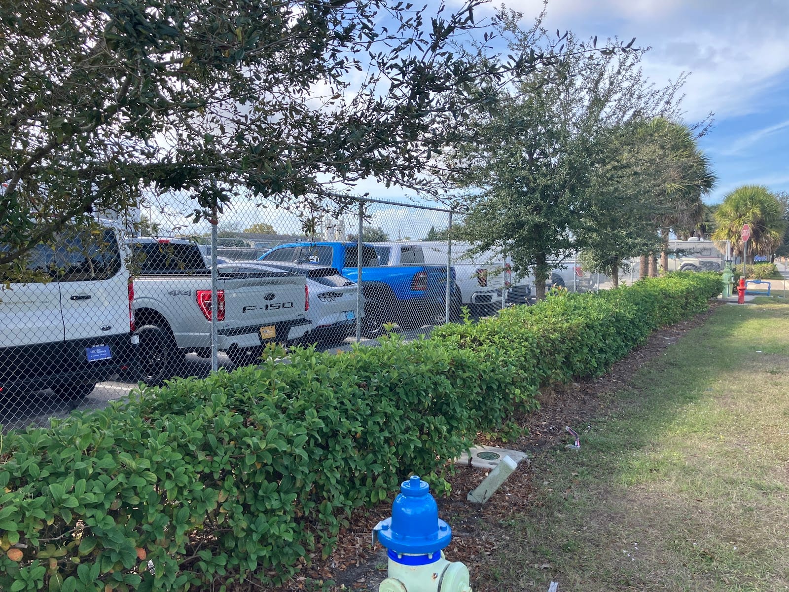 Sarasota Ford Receiving Center, photo 2