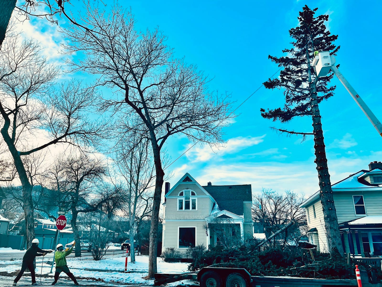 Field’s Tree Service, LLC