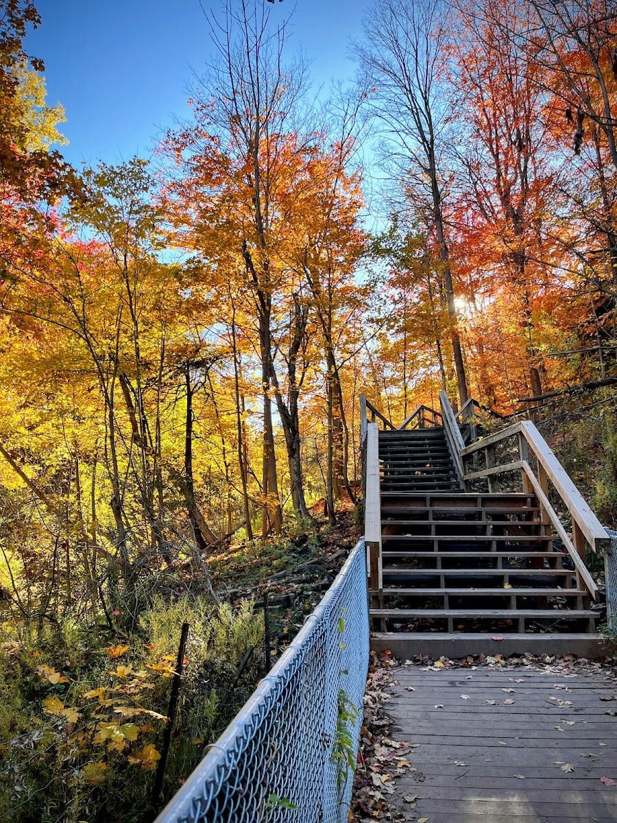 Sunnydene Park