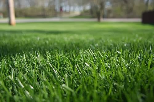 Cut-N-Edge Lawncare and Landscapes, photo 2