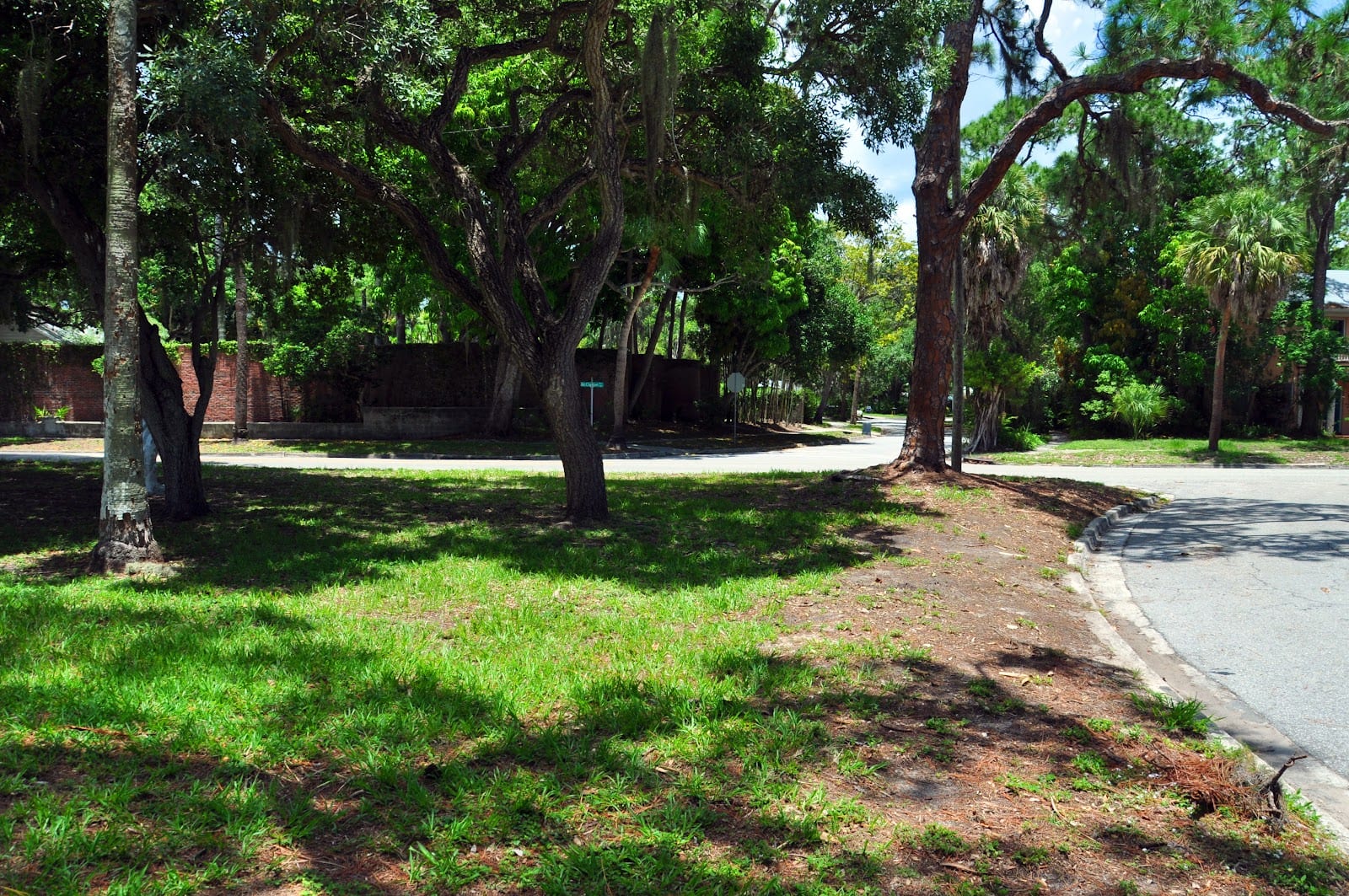 McClellan Grass Patch, photo 4