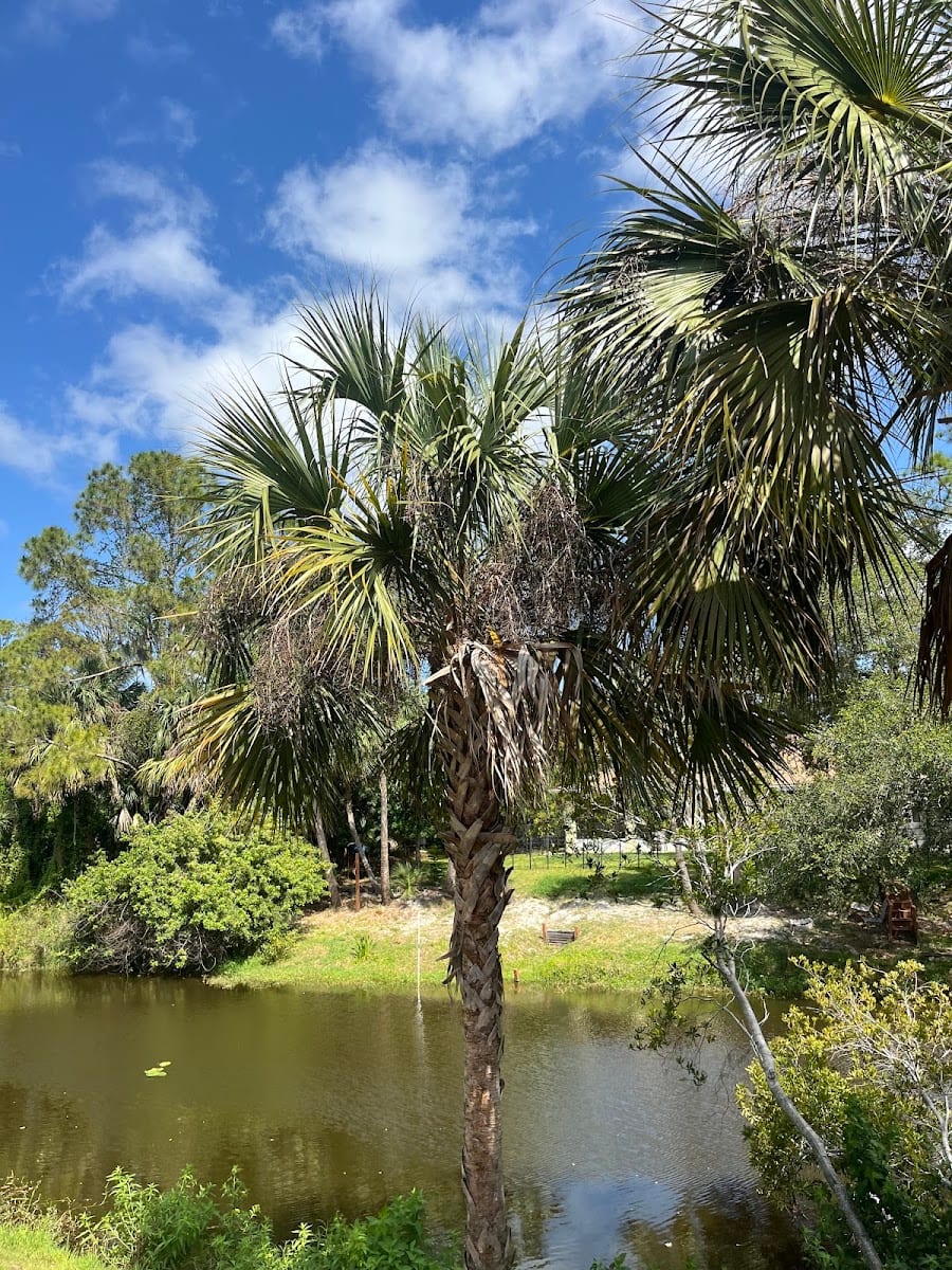 Krokis Landscaping LLC, photo 4