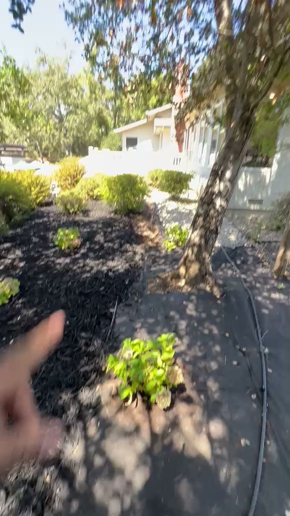 DOV Landscaping, photo 2