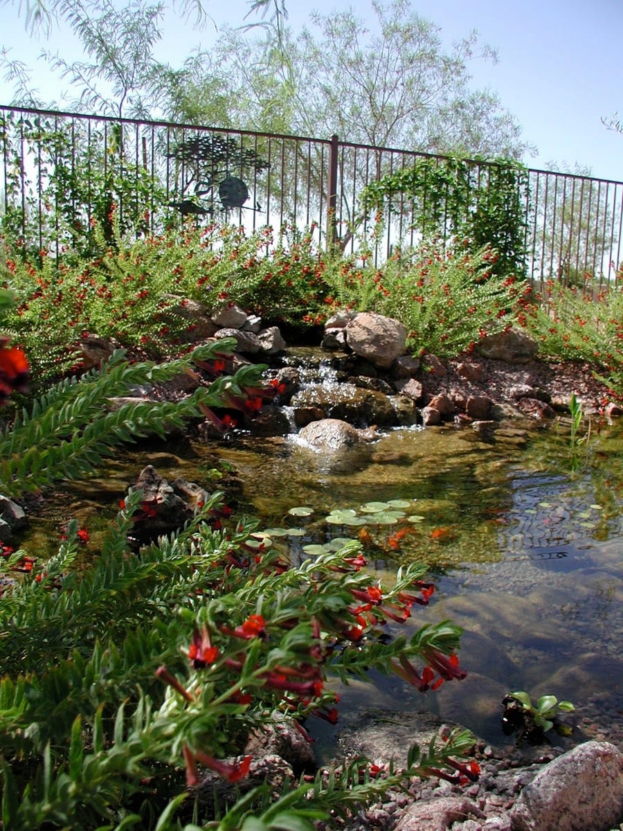 Arte Verde Landscape Design, photo 2