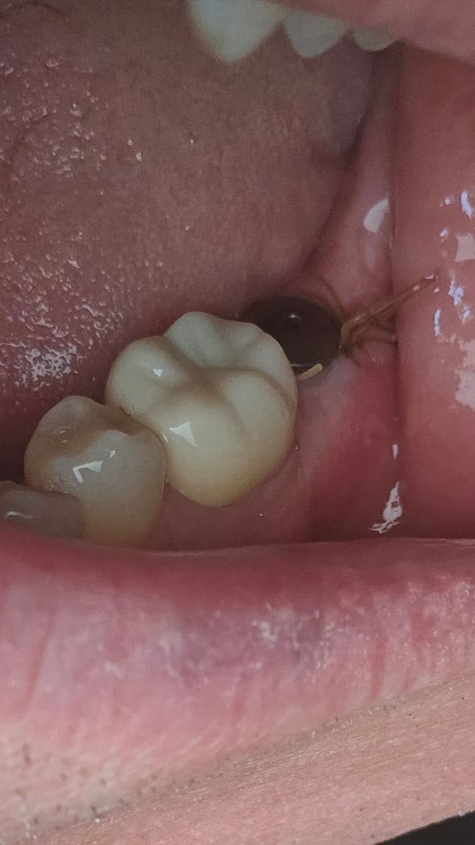 Sarasota Periodontal Associates