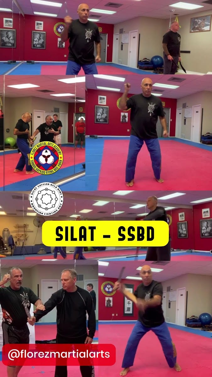 Florez Martial Arts Academy - Hapkido - SILAT Suffian Bela Diri, photo 3