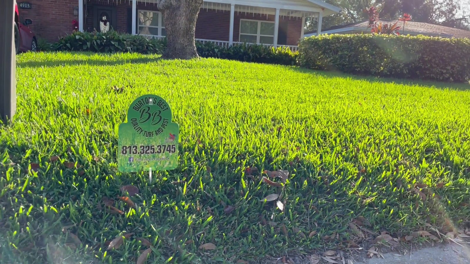 Burtons Best Quality Turf And Pest, photo 3