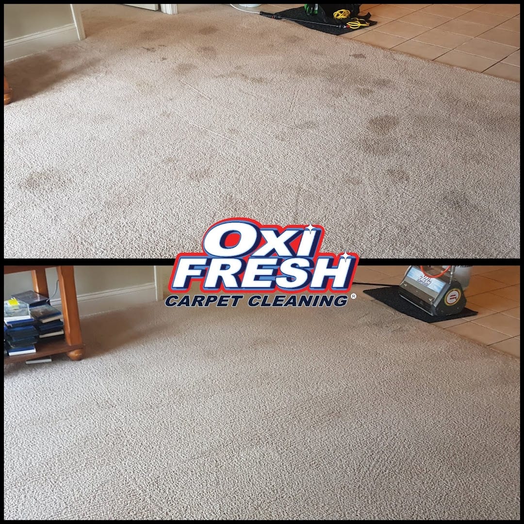 Oxi Fresh Carpet Cleaning, photo 2