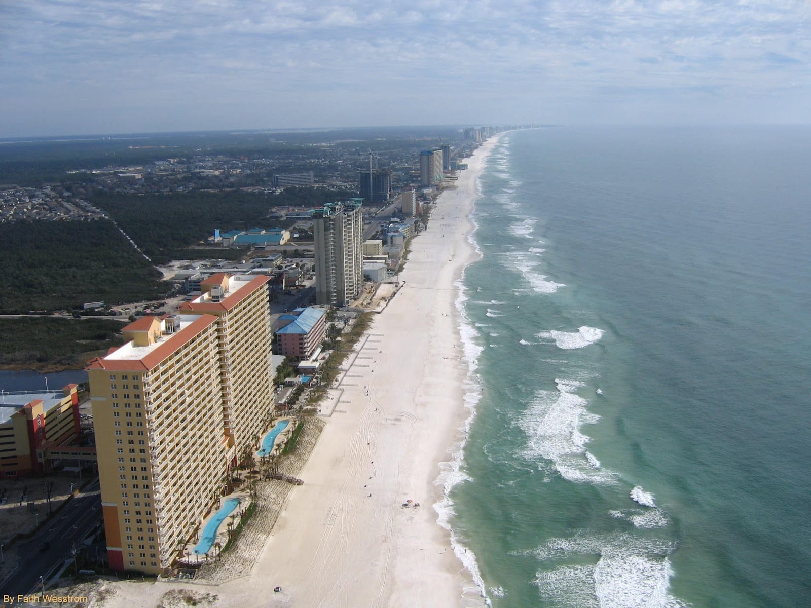 Palm Realty and Property Management Services, LLC, photo 2