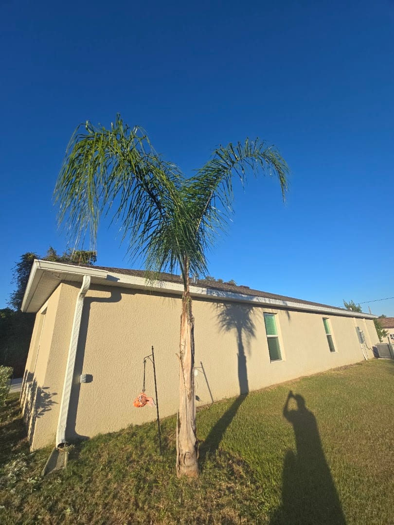 Palons lawn care and more, photo 3