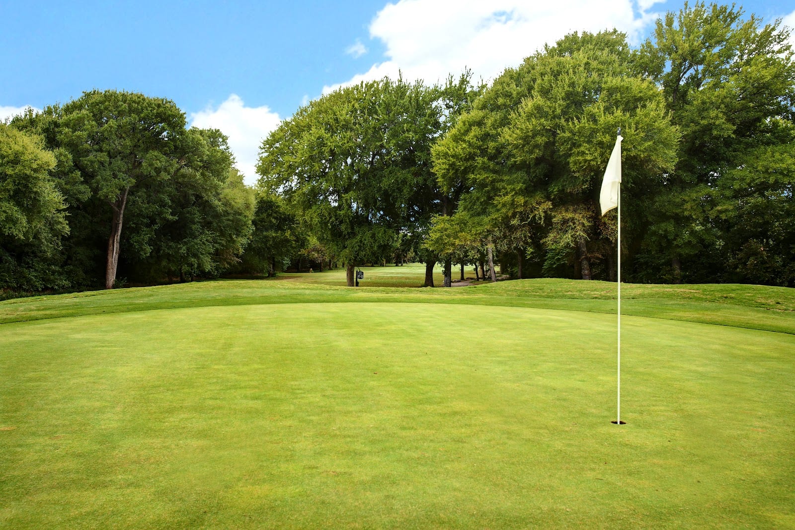The Golf Club at Champions Circle, photo 2