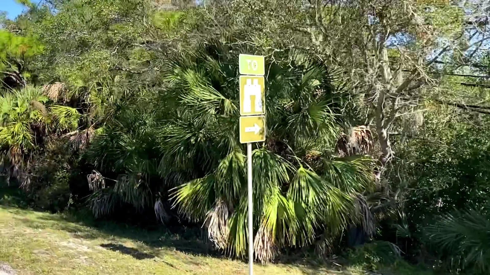 Oscar Scherer State Park Campground, photo 2
