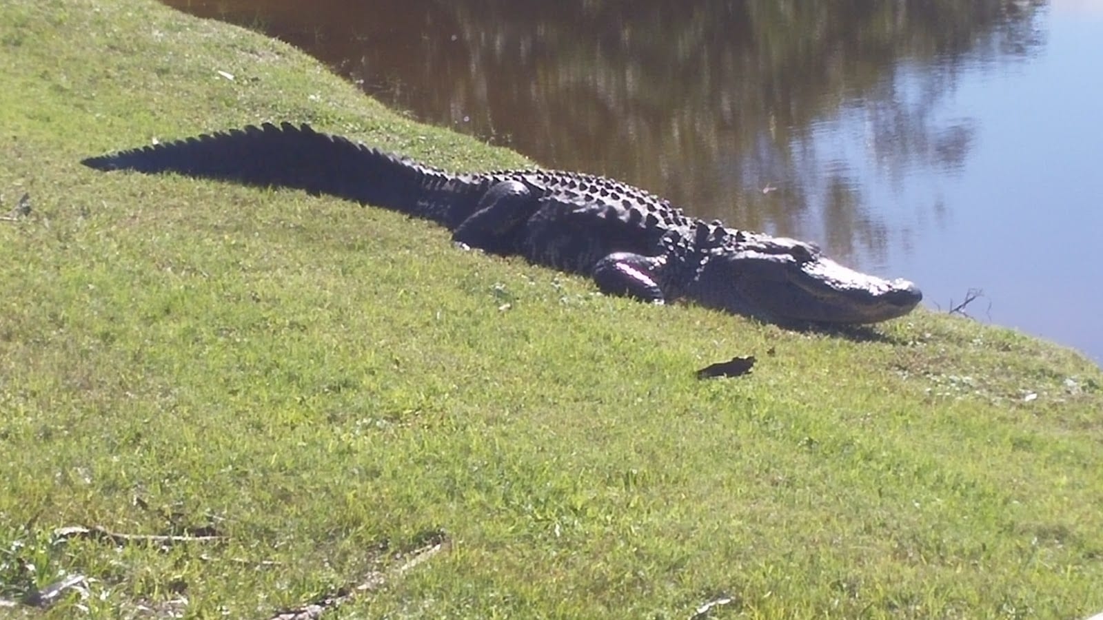 The Pine Valley Golf Course