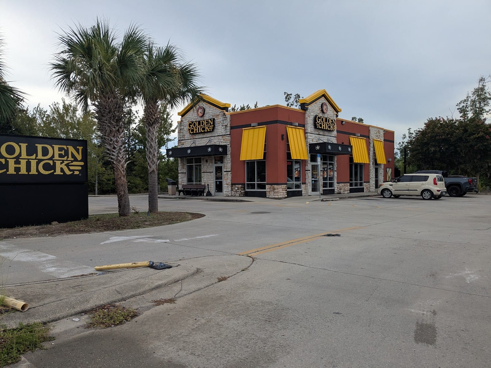 Golden Chick, photo 3