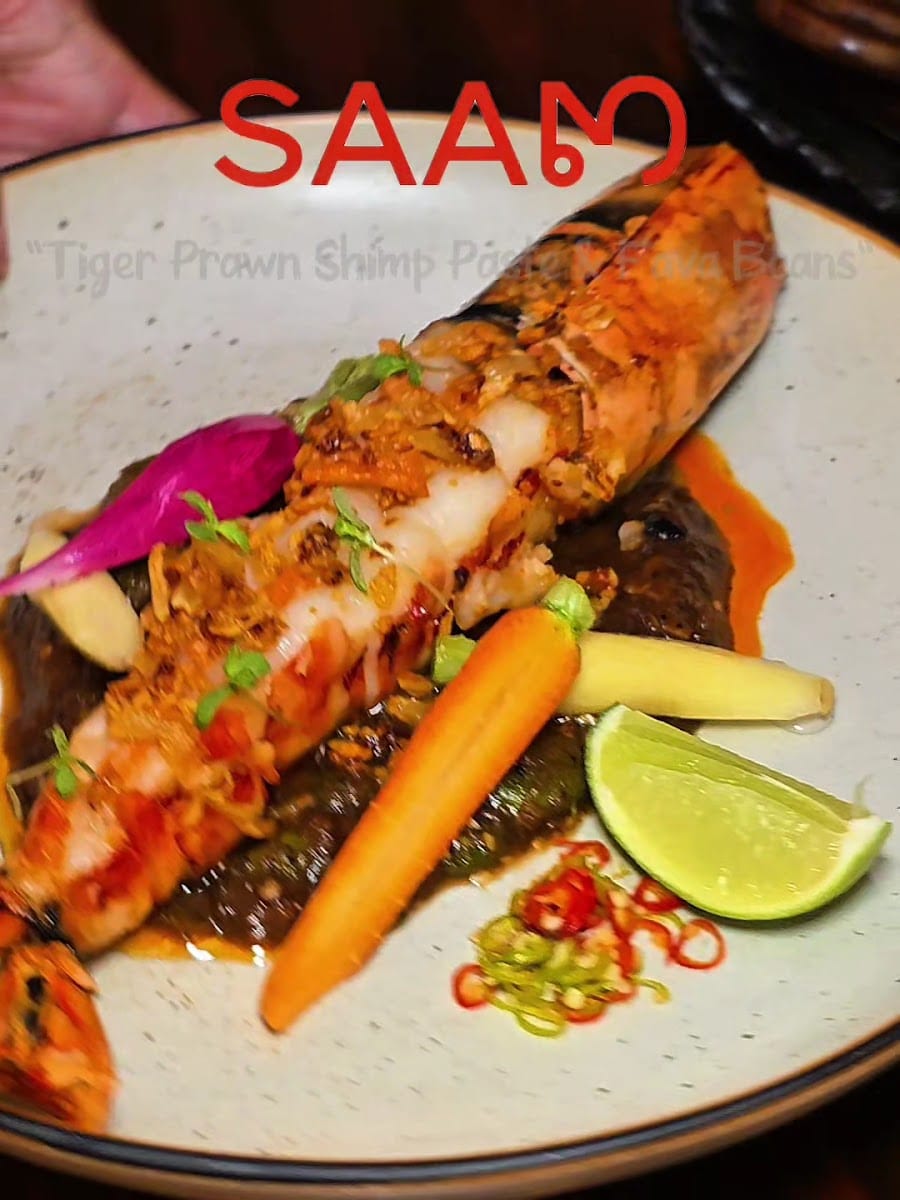 SAAM, photo 2