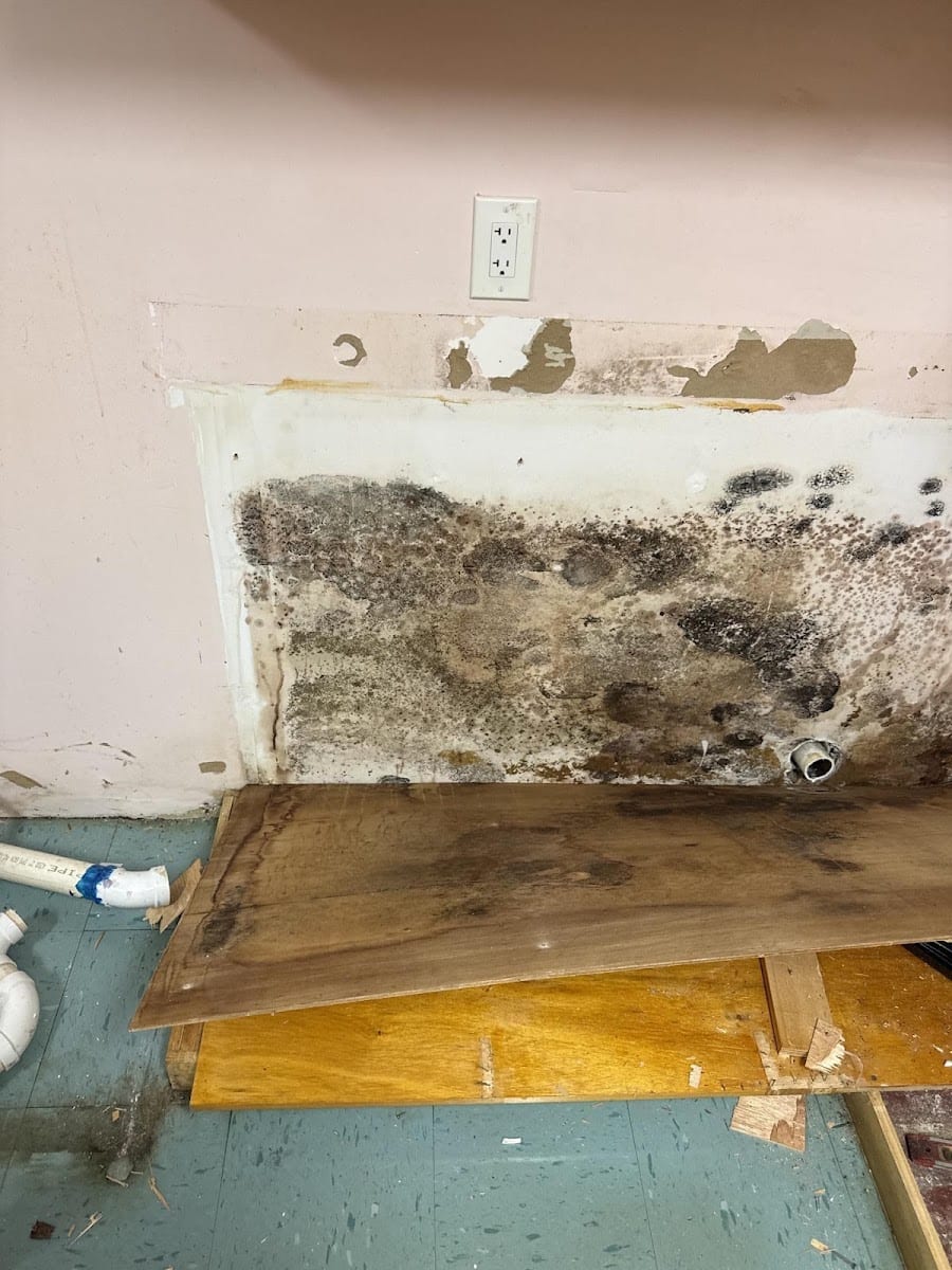 Mold Doctor Pro, photo 2