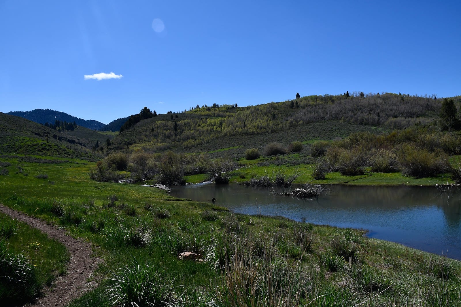 Temple Fork Trailhead, photo 2