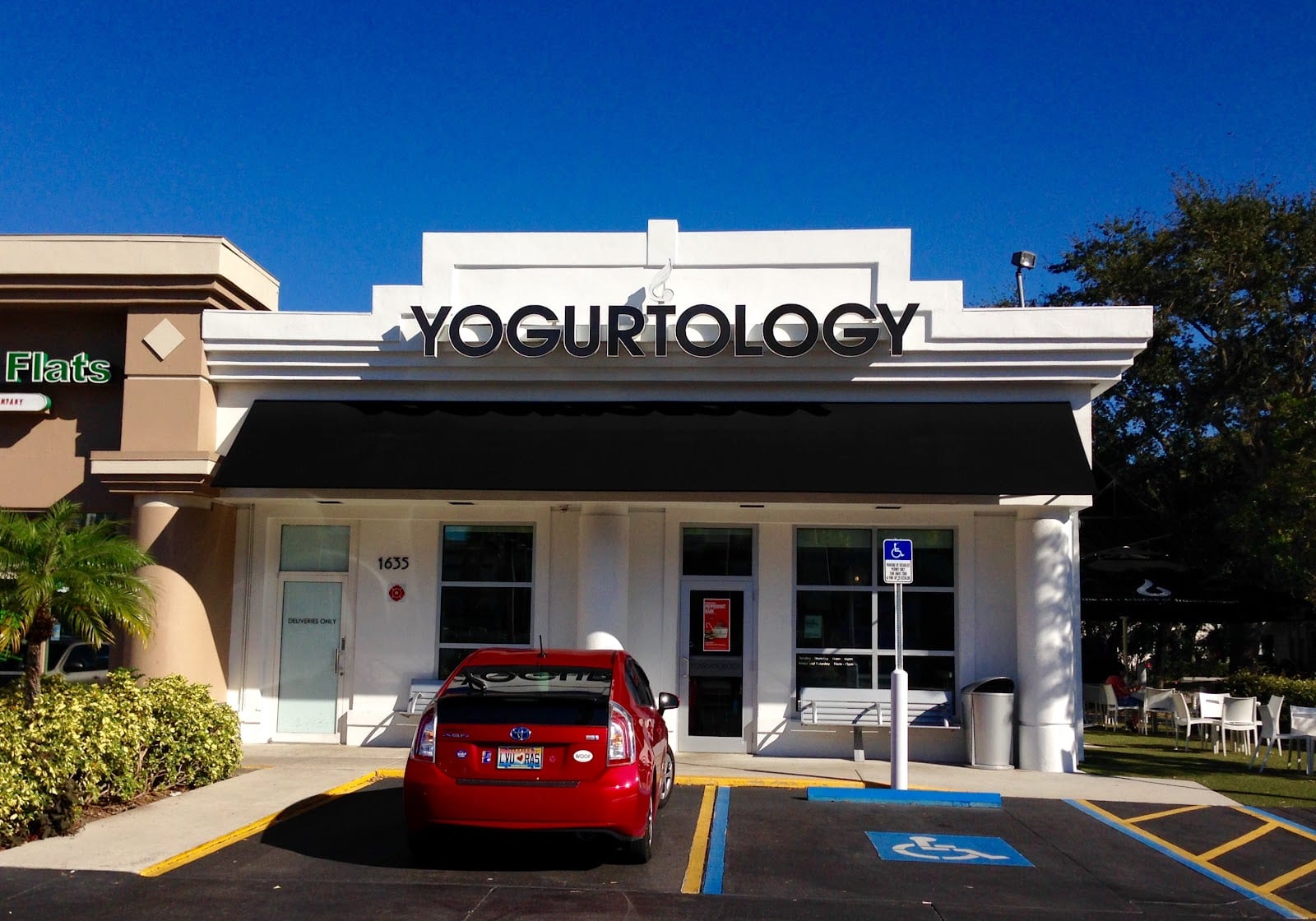 Yogurtology, photo 2