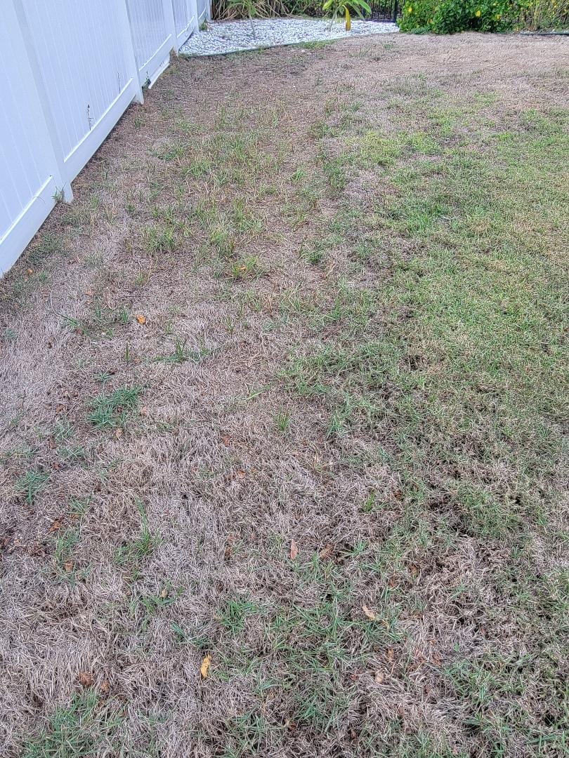 Absolute Lawn And Landscape