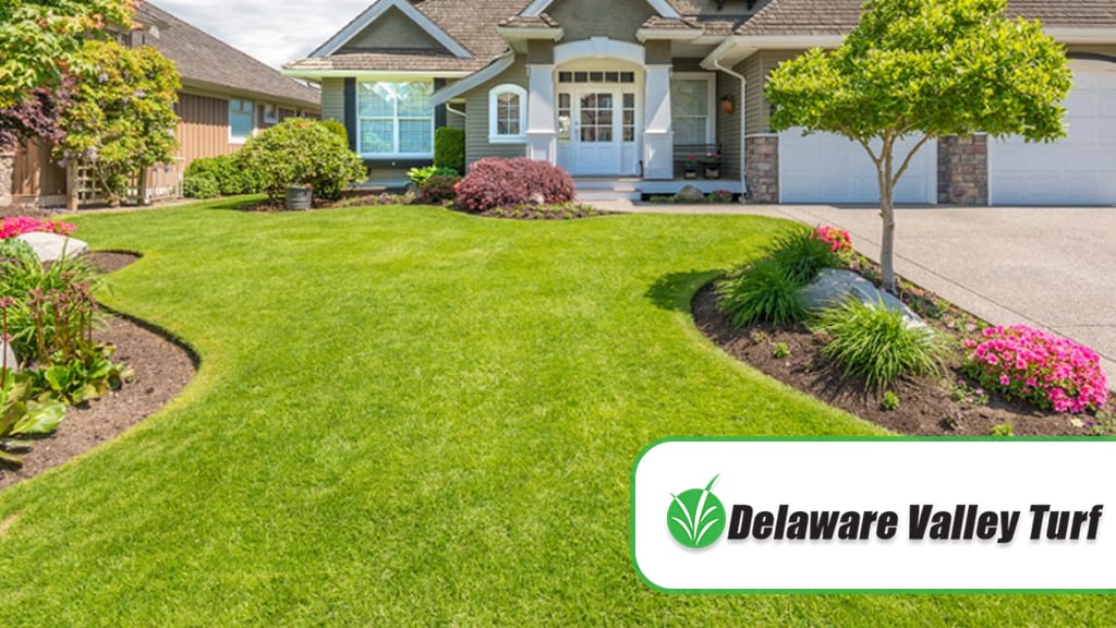 Delaware Valley Turf, photo 2