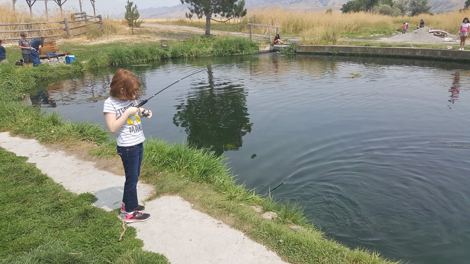 Mountain Valley Trout Farm, photo 3